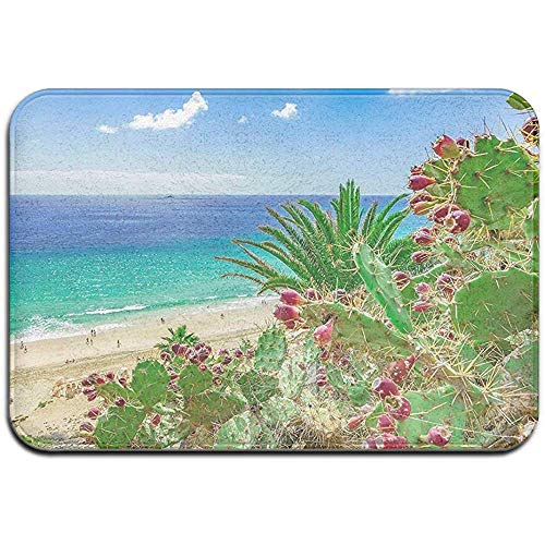 MHKG Felpudo Door Mat Outside 15.7 X23.6 Inch,Indoor Front Door Mat,Door Mats Inside,Non-Slip Washable Doormat Fuerteventura Island Beach Spain Holiday MHKG Felpudo Door Mat Outside 15.7 X23.6 Inch,Indoor Front Door Mat,Door Mats Inside,Non-Slip Washable Doormat Fuerteventura Island Beach Spain Holiday
