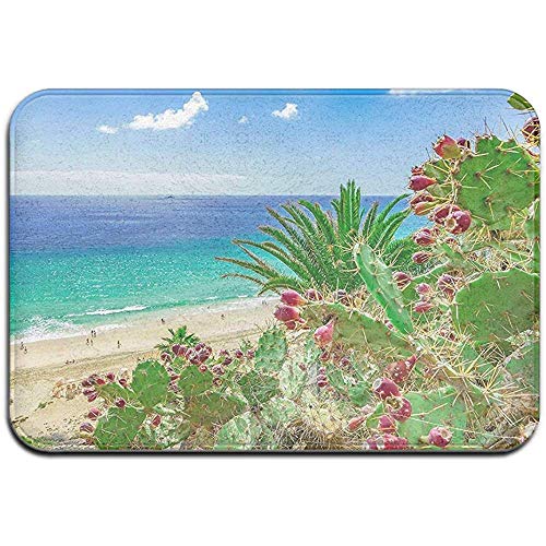 MHKG Felpudo Door Mat Outside 15.7 X23.6 Inch,Indoor Front Door Mat,Door Mats Inside,Non-Slip Washable Doormat Fuerteventura Island Beach Spain Holiday