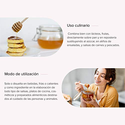 Miel de abeja ecologica pura Milflores | Miel de España 100% Natural, Organica, Fresca y Cruda con certificado Ecológico 450 Gr / Miel cruda, extracción en frío. Producción ecológica 100% Miel de abeja ecologica pura Milflores | Miel de España 100% Natural, Organica, Fresca y Cruda con certificado Ecológico 450 Gr / Miel cruda, extracción en frío. Producción ecológica 100%