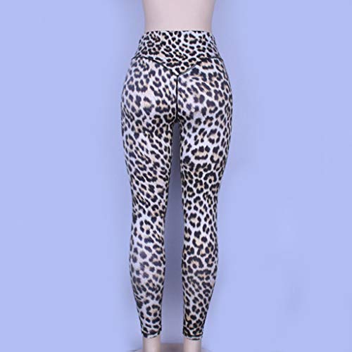 ?MINXINWY Mallas de Mujer Correr, Leggings Deportivos Sexy Mujer Movimiento de Salto Pantalones Leggings Estampado de Leopardo Pantalones de Mujer Cintura Altura ?MINXINWY Mallas de Mujer Correr, Leggings Deportivos Sexy Mujer Movimiento de Salto Pantalones Leggings Estampado de Leopardo Pantalones de Mujer Cintura Altura