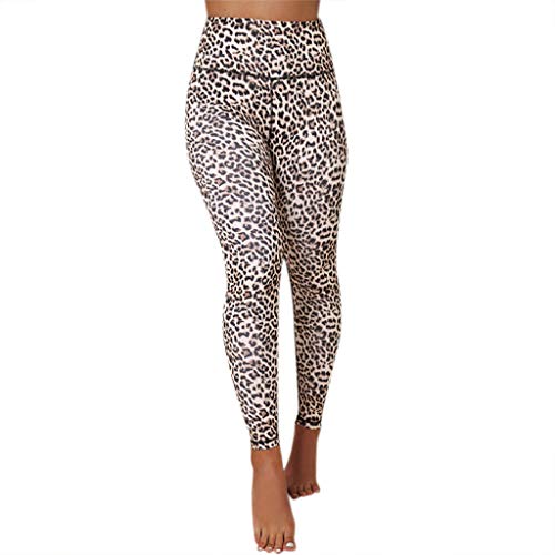 ?MINXINWY Mallas de Mujer Correr, Leggings Deportivos Sexy Mujer Movimiento de Salto Pantalones Leggings Estampado de Leopardo Pantalones de Mujer Cintura Altura ?MINXINWY Mallas de Mujer Correr, Leggings Deportivos Sexy Mujer Movimiento de Salto Pantalones Leggings Estampado de Leopardo Pantalones de Mujer Cintura Altura