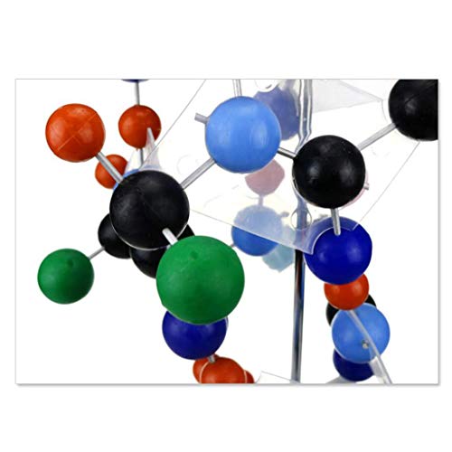 Modelo de proteína con Base Acercarse 300 Millones Times Stick Tipo Proteína Secundario Estructura Modelo para Enseñando Investigación Coleccionables Modelo de proteína con Base Acercarse 300 Millones Times Stick Tipo Proteína Secundario Estructura Modelo para Enseñando Investigación Coleccionables