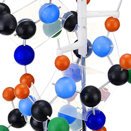 Modelo de proteína con Base Acercarse 300 Millones Times Stick Tipo Proteína Secundario Estructura Modelo para Enseñando Investigación Coleccionables Modelo de proteína con Base Acercarse 300 Millones Times Stick Tipo Proteína Secundario Estructura Modelo para Enseñando Investigación Coleccionables