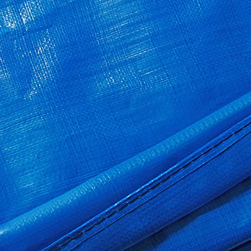 Monzana Deuba Cojín de protección Azul de PVC Cubierta para Cama elástica Borde resortes trampolín de 305 cm Exterior Monzana Deuba Cojín de protección Azul de PVC Cubierta para Cama elástica Borde resortes trampolín de 305 cm Exterior