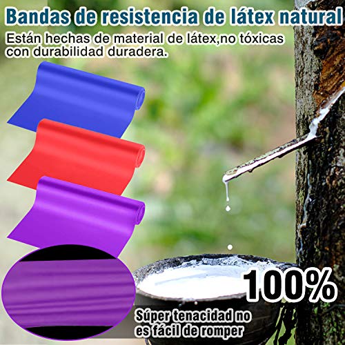 Morfone 3 Piezas Bandas elasticas Fitness, Cintas elásticas Resistencia con 3 Niveles,Banda Elastica Entrenamiento para Yoga, Pilates, estiramientos, y rehabilitación