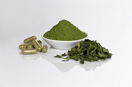 Moringa Ecológica 300 Cápsulas Vegetales