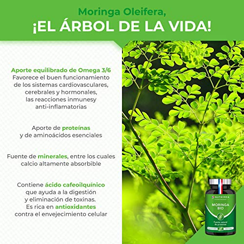 Moringa Oleifera Bio 120 Cápsulas | Superfood Antioxidante Natural Sistema Inmunológico Energía Proteina Vegetal | 330 mg Polvo Moringa con 66 mg de Proteina Apto para Veganos | Fabricado en Francia