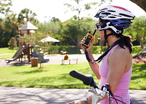 Motorola 59T80EXPACK - Walkie-Talkie Radio emisor y Receptor PMR, Amarillo Motorola 59T80EXPACK - Walkie-Talkie Radio emisor y Receptor PMR, Amarillo
