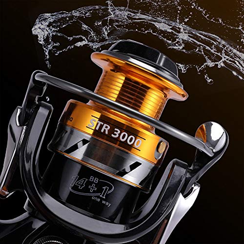 Mounchain Carretes de Pesca, Spinning Carrete Pesca para Carpas Marinas y de Agua Dulce 14 + 1 Rodamientos de Bolas Pesca Anticorrosión Agua Salada 3000 Mounchain Carretes de Pesca, Spinning Carrete Pesca para Carpas Marinas y de Agua Dulce 14 + 1 Rodamientos de Bolas Pesca Anticorrosión Agua Salada 3000
