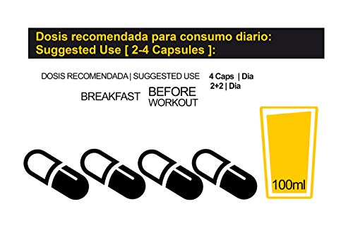 MTX nutrition KREALYN 240 capsulas - La Creatina Alcalina pH´12 KRE-ALKALYN incrementa la fosfocreatina, favorece la fuerza, potencia muscular, y la amortiguación de acidosis (retrasa la fatiga). MTX nutrition KREALYN 240 capsulas - La Creatina Alcalina pH´12 KRE-ALKALYN incrementa la fosfocreatina, favorece la fuerza, potencia muscular, y la amortiguación de acidosis (retrasa la fatiga).