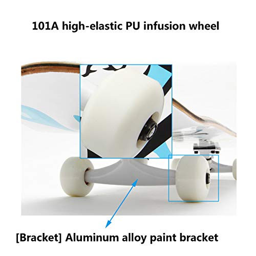 Muccy Tabla de Monopatín para Principiantes, Complete Skateboard con Pared-Gancho De Pared, 7 Capas Recubierta de Madera Arce Skate Board, 79x20 cm, para Unisex Adulto, Rodamientos ABEC-7,Bls12 Muccy Tabla de Monopatín para Principiantes, Complete Skateboard con Pared-Gancho De Pared, 7 Capas Recubierta de Madera Arce Skate Board, 79x20 cm, para Unisex Adulto, Rodamientos ABEC-7,Bls12