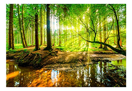 murando Fotomurales 350x256 cm XXL Papel pintado tejido no tejido Decoración de Pared decorativos Murales moderna de Diseno Fotográfico Bosque Naturaleza c-B-0241-a-a