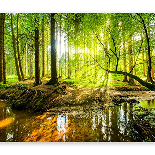 murando Fotomurales 350x256 cm XXL Papel pintado tejido no tejido Decoración de Pared decorativos Murales moderna de Diseno Fotográfico Bosque Naturaleza c-B-0241-a-a