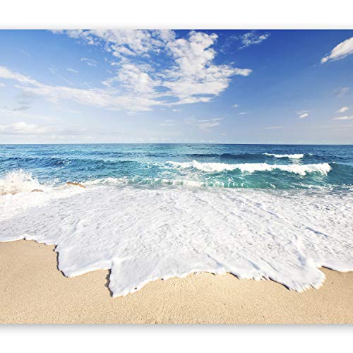 murando Fotomurales 350x256 cm XXL Papel pintado tejido no tejido Decoración de Pared decorativos Murales moderna de Diseno Fotográfico - playa mar naturaleza c-B-0035-a-a