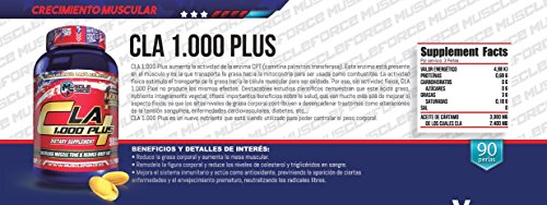 Muscle Force Superquemador de Grasa para preentrenamiento CLA 1000 Plus (acelera el metabolismo) 90 cápsulas Muscle Force Superquemador de Grasa para preentrenamiento CLA 1000 Plus (acelera el metabolismo) 90 cápsulas