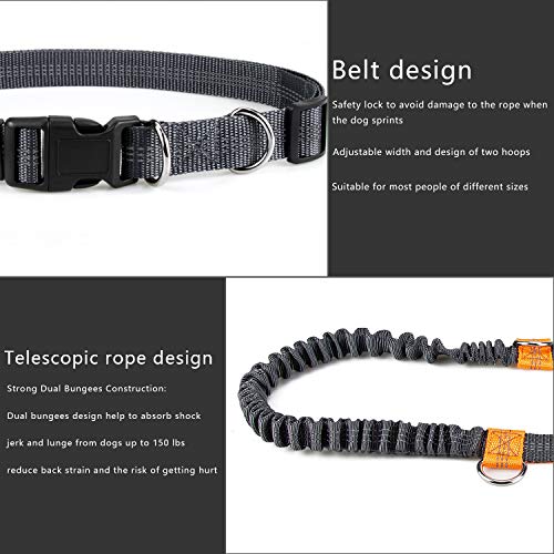 Mystery Correa para Perros Manos libres, Ajustables y Elásticas Correas para Correr Con Costuras Reflectantes para Perros de hasta 110 kg Mystery Correa para Perros Manos libres, Ajustables y Elásticas Correas para Correr Con Costuras Reflectantes para Perros de hasta 110 kg