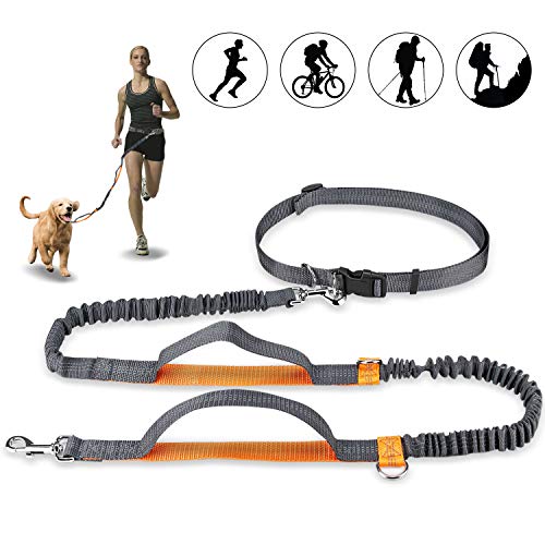 Mystery Correa para Perros Manos libres, Ajustables y Elásticas Correas para Correr Con Costuras Reflectantes para Perros de hasta 110 kg