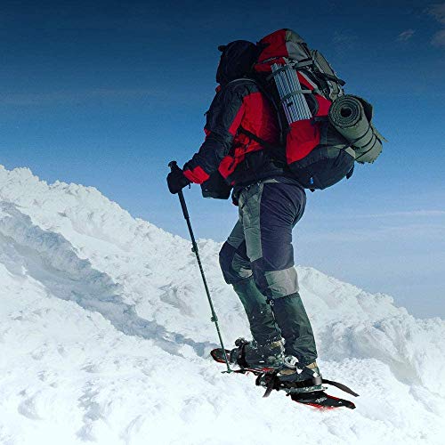 NACATIN Raquetas de nieve ultraligeras de aluminio con bolsa de transporte (30 pulgadas) NACATIN Raquetas de nieve ultraligeras de aluminio con bolsa de transporte (30 pulgadas)