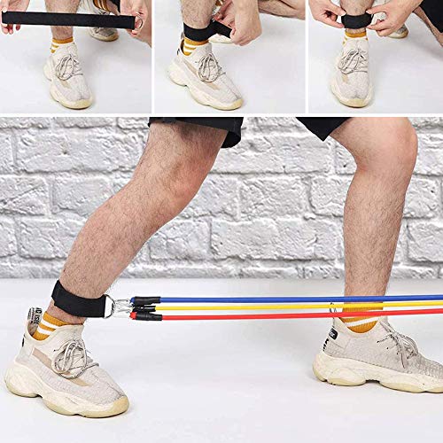 NALCY Bandas de Resistencia, Bandas Ejercicio, 100lbs Bandas de Resistencia Set, con 5 Bandas Resistencia, 2 Manijas, 2 Correas de Tobillo, Ancla de Puerta, para Culturismo, Yoga, Hombre y Mujer NALCY Bandas de Resistencia, Bandas Ejercicio, 100lbs Bandas de Resistencia Set, con 5 Bandas Resistencia, 2 Manijas, 2 Correas de Tobillo, Ancla de Puerta, para Culturismo, Yoga, Hombre y Mujer