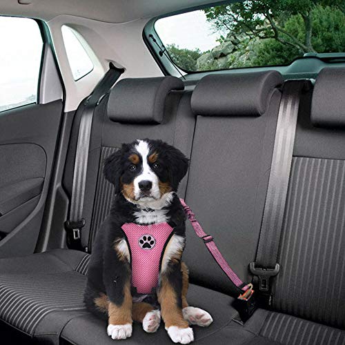 Nasjac Juego de Cinturones de Seguridad para Perros, cinturón de Seguridad para Mascotas con cinturón de Seguridad (M, Arnés y cinturón(Rosado)) Nasjac Juego de Cinturones de Seguridad para Perros, cinturón de Seguridad para Mascotas con cinturón de Seguridad (M, Arnés y cinturón(Rosado))