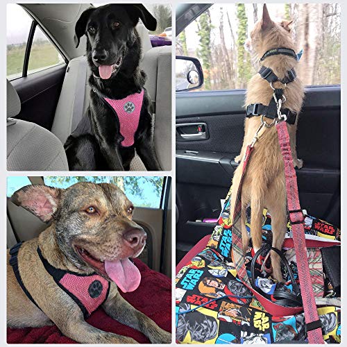 Nasjac Juego de Cinturones de Seguridad para Perros, cinturón de Seguridad para Mascotas con cinturón de Seguridad (M, Arnés y cinturón(Rosado)) Nasjac Juego de Cinturones de Seguridad para Perros, cinturón de Seguridad para Mascotas con cinturón de Seguridad (M, Arnés y cinturón(Rosado))