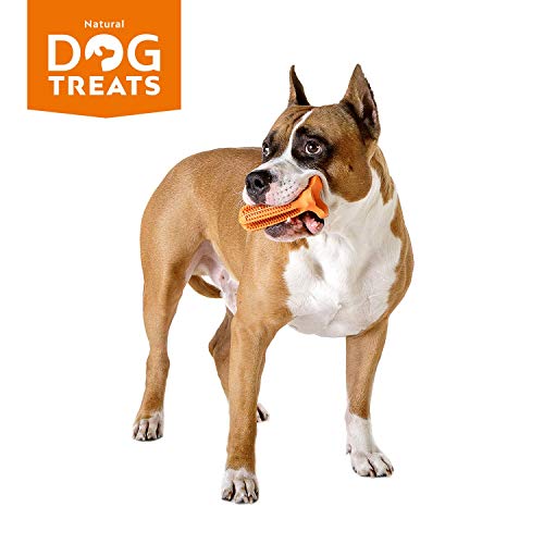 Natural Dog Treats Cepillo de Dientes y Dentífrico Set para Perros, 100% Natural Caucho Dog Brushing Stick, Juguete para Masticar, Tall Medium Natural Dog Treats Cepillo de Dientes y Dentífrico Set para Perros, 100% Natural Caucho Dog Brushing Stick, Juguete para Masticar, Tall Medium