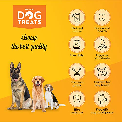 Natural Dog Treats Cepillo de Dientes y Dentífrico Set para Perros, 100% Natural Caucho Dog Brushing Stick, Juguete para Masticar, Tall Medium Natural Dog Treats Cepillo de Dientes y Dentífrico Set para Perros, 100% Natural Caucho Dog Brushing Stick, Juguete para Masticar, Tall Medium