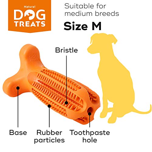 Natural Dog Treats Cepillo de Dientes y Dentífrico Set para Perros, 100% Natural Caucho Dog Brushing Stick, Juguete para Masticar, Tall Medium