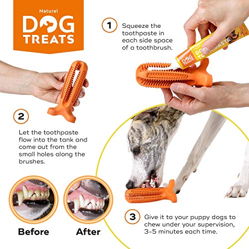 Natural Dog Treats Cepillo de Dientes y Dentífrico Set para Perros, 100% Natural Caucho Dog Brushing Stick, Juguete para Masticar, Tall Medium