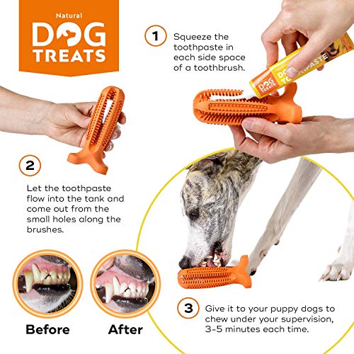 Natural Dog Treats Cepillo de Dientes y Dentífrico Set para Perros, 100% Natural Caucho Dog Brushing Stick, Juguete para Masticar, Tall Medium Natural Dog Treats Cepillo de Dientes y Dentífrico Set para Perros, 100% Natural Caucho Dog Brushing Stick, Juguete para Masticar, Tall Medium