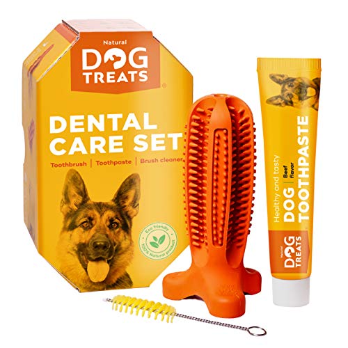 Natural Dog Treats Cepillo de Dientes y Dentífrico Set para Perros, 100% Natural Caucho Dog Brushing Stick, Juguete para Masticar, Tall Medium