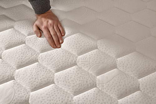 Naturalex | Ergolatex | Colchón 135x190 Cm Calidad Duradera | Adaptabilidad y Confort Equilibrado | Capsulas Refrescantes MemoFeel | Tecnología Blue-Látex Ultima Generación | 7 Zonas de Confort Naturalex | Ergolatex | Colchón 135x190 Cm Calidad Duradera | Adaptabilidad y Confort Equilibrado | Capsulas Refrescantes MemoFeel | Tecnología Blue-Látex Ultima Generación | 7 Zonas de Confort