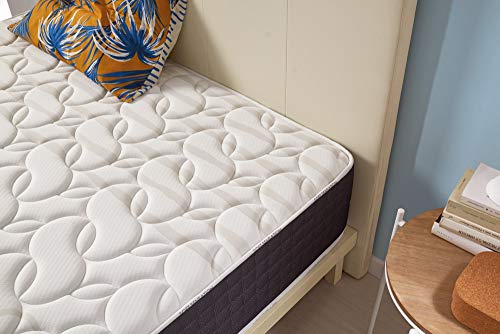 Naturalex | Viscosoft | Colchón 150x190 Cm Viscoelástico Gama Premium 30 cm | Tecnología BlueLátex Última Generación | Excelentes Núcleos Poliuretano Ventilados | Lechos Independientes | Ergonómico Naturalex | Viscosoft | Colchón 150x190 Cm Viscoelástico Gama Premium 30 cm | Tecnología BlueLátex Última Generación | Excelentes Núcleos Poliuretano Ventilados | Lechos Independientes | Ergonómico