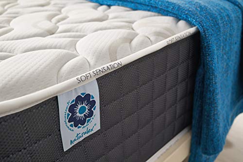 Naturalex | Viscosoft | Colchón 150x190 Cm Viscoelástico Gama Premium 30 cm | Tecnología BlueLátex Última Generación | Excelentes Núcleos Poliuretano Ventilados | Lechos Independientes | Ergonómico Naturalex | Viscosoft | Colchón 150x190 Cm Viscoelástico Gama Premium 30 cm | Tecnología BlueLátex Última Generación | Excelentes Núcleos Poliuretano Ventilados | Lechos Independientes | Ergonómico