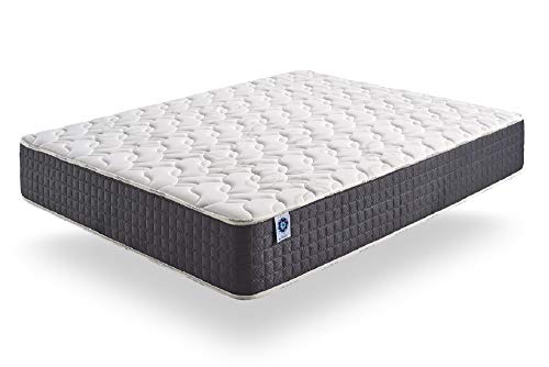 Naturalex | Viscosoft | Colchón 150x190 Cm Viscoelástico Gama Premium 30 cm | Tecnología BlueLátex Última Generación | Excelentes Núcleos Poliuretano Ventilados | Lechos Independientes | Ergonómico Naturalex | Viscosoft | Colchón 150x190 Cm Viscoelástico Gama Premium 30 cm | Tecnología BlueLátex Última Generación | Excelentes Núcleos Poliuretano Ventilados | Lechos Independientes | Ergonómico