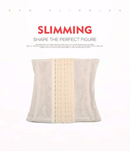 NDBBWG Corsé Correa de Modelado Entrenador de Cintura Cinturón Adelgazante Body Shaper Body Feminino Ropa Interior Adelgazante Lose Weight Corset Shaper Calistenia, Beige, S NDBBWG Corsé Correa de Modelado Entrenador de Cintura Cinturón Adelgazante Body Shaper Body Feminino Ropa Interior Adelgazante Lose Weight Corset Shaper Calistenia, Beige, S