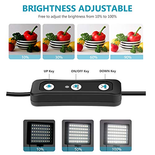 Neewer 2-Pack Luz LED Video 5600K Regulable con Soporte Trípode Ajustable/Filtros de Color para Tablero de Mesa/Angulo Bajo,Iluminación LED Colorida,Retrato Producto Fotografía Video Youtube