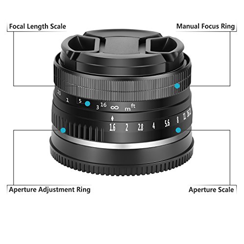 Neewer 32mm F/1,6 Enfoque Manual Objetivo Principal Afilado Alta Apertura,para Sony E-Mount APS-C Sony A7III A9 NEX 3 3N 5 NEX 5T NEX 5R NEX 6 7 A5000 A5100 A6000 A6100 A6300 A6500