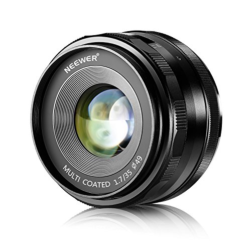 Neewer 35 mm f/1.7 Lentes con Fuego Manual para cámaras Digitales Sony E-Mount con Sensor APS-C, como Sony A7III A9 NEX 3 3N 5 NEX 5T NEX 5R NEX 6 7 A6400 A5000 A5100 A6000 A6100 A6300 A6500 A3000