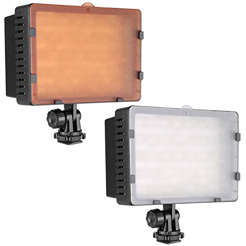 NEEWER CN-160 - Panel de luz LED regulable de 160 piezas para cámara de vídeo y digital SLR Canon Nikon, Pentax, Panasonic, Sony, Samsung y Olympus NEEWER CN-160 - Panel de luz LED regulable de 160 piezas para cámara de vídeo y digital SLR Canon Nikon, Pentax, Panasonic, Sony, Samsung y Olympus