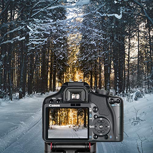 Neewer Plegable Z Cabeza Inclinable Bola Trípode Flexión con Zapato Rápido Placa QR,Soporte Cámara Aleación Aluminio con Nivel de Burbuja,Compatible con Cámara Canon Nikon Sony,Riel Deslizante(Rojo) Neewer Plegable Z Cabeza Inclinable Bola Trípode Flexión con Zapato Rápido Placa QR,Soporte Cámara Aleación Aluminio con Nivel de Burbuja,Compatible con Cámara Canon Nikon Sony,Riel Deslizante(Rojo)