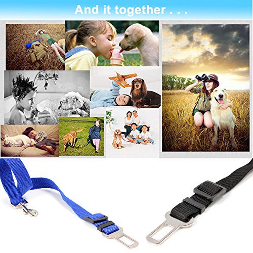 Neuftech Ajustable Arnés Cinturones de Seguridad Perros de Mascotas para Coche - Azul Neuftech Ajustable Arnés Cinturones de Seguridad Perros de Mascotas para Coche - Azul