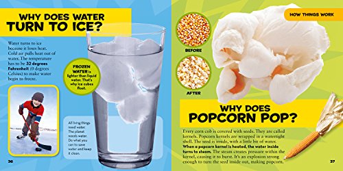 Nglk Big Book Of Why (National Geographic Kids)