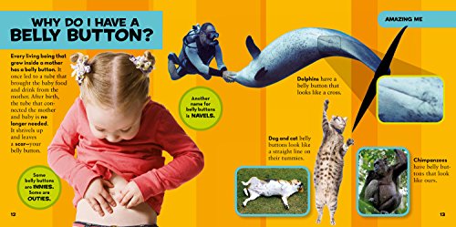 Nglk Big Book Of Why (National Geographic Kids)