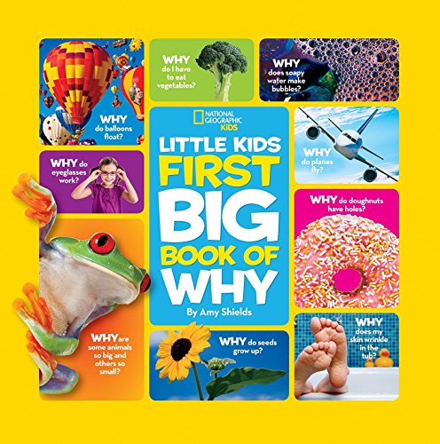 Nglk Big Book Of Why (National Geographic Kids)