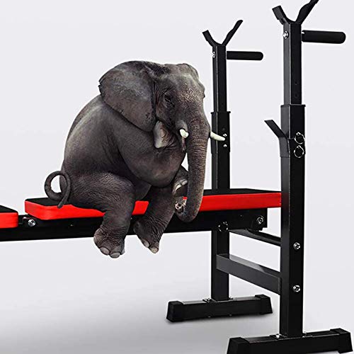 Nileco Banco de Pesas,Banco de Prensa Estante de Barra Multifunción Banco Dumbbell,Ajustable Sentarse-ups Bancode Pesas,Rack con Mancuernas para Hogar Musculacion-Negro 106x32x100cm(42x13x39inch)