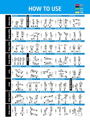 Tablas de ejercicios con gomas elásticas 【En PDF】