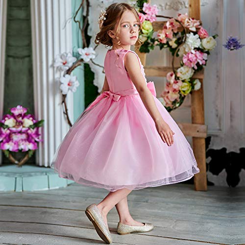 NNJXD Vestido de Fiesta de Princesa con Encaje de Flor de 3D sin Mangas para Niñas Talla(110) 2-3 Años Rosa