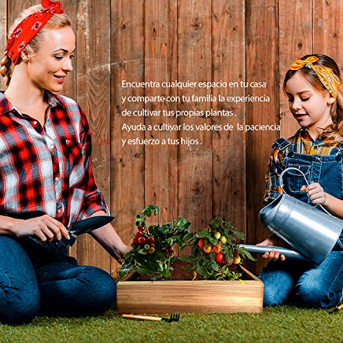 No Plan B for Earth Kit de Cultivo con Maceta de Pino Tratada. Semillas Baby Leaf, Espinacas, RABANITO Rojo, Zanahoria No Plan B for Earth Kit de Cultivo con Maceta de Pino Tratada. Semillas Baby Leaf, Espinacas, RABANITO Rojo, Zanahoria