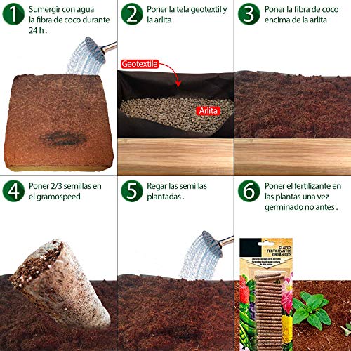 No Plan B for Earth Kit de Cultivo con Maceta de Pino Tratada. Semillas Baby Leaf, Espinacas, RABANITO Rojo, Zanahoria No Plan B for Earth Kit de Cultivo con Maceta de Pino Tratada. Semillas Baby Leaf, Espinacas, RABANITO Rojo, Zanahoria